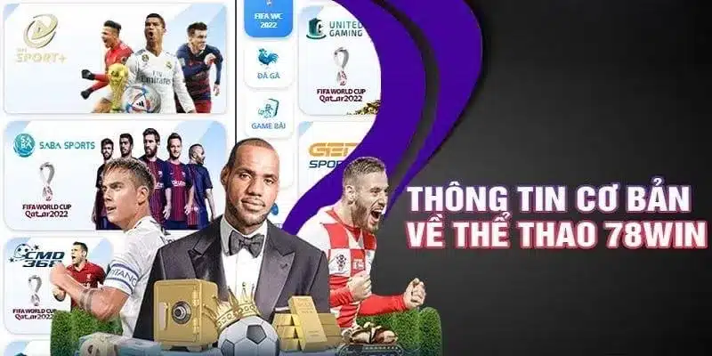 Thông tin cơ bản về dịch vụ thể thao sports